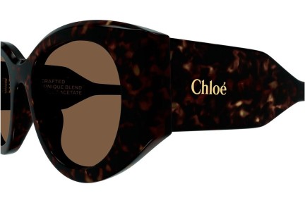 Ochelari de soare Chloe CH0251S 002 Rotunzi Havana