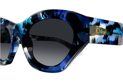 Ochelari de soare Chloe CH0220S 009 Cat Eye Albaștri