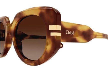 Ochelari de soare Chloe CH0257S 002 Rotunzi Havana