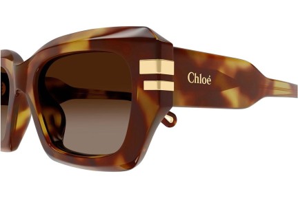 Ochelari de soare Chloe CH0256S 002 Pătrați Havana