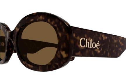 Ochelari de soare Chloe CH0258S 002 Ovali Havana