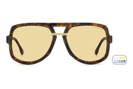 Ochelari de soare Carrera VICTORYC10/S 086/UK Pătrați Havana