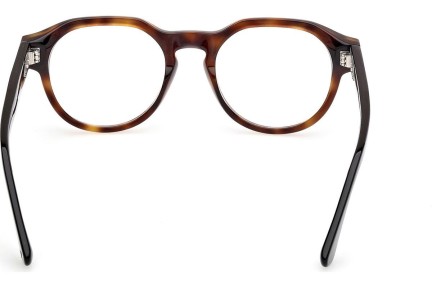 Ochelari Web WE5421 055 Rotunzi Havana