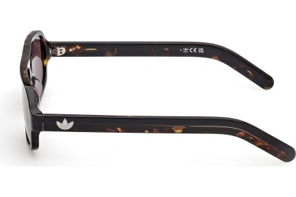 Ochelari de soare Adidas Originals OR0134 52E Pătrați Havana