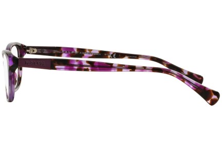 Ochelari Ralph by Ralph Lauren RA7049 1135 Cat Eye Violeți