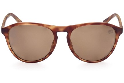 Ochelari de soare Timberland TB9267 52H Polarized Pilot Havana