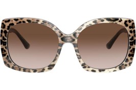 Dolce & Gabbana Icons Collection DG4385 316313