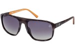 Timberland TB9278 56D Polarized