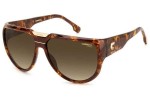 Ochelari de soare Carrera FLAGLAB13 086/HA Pilot Havana