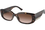 Ochelari de soare Bvlgari BV8259 504/13 Dreptunghiulari Havana