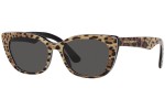 Ochelari de soare Dolce & Gabbana DX4427 316387 Cat Eye Havana