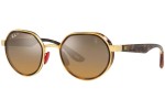 Ochelari de soare Ray-Ban RB3703M F076A2 Polarized Specială Havana