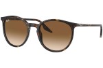 Ochelari de soare Ray-Ban RB2204 902/51 Rotunzi Havana