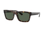 Ray-Ban Warren RB4396 135971