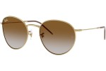 Ray-Ban RBR0103S 001/CB