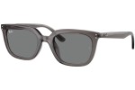 Ray-Ban RB4439D 667587