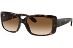 Ochelari de soare Ray-Ban RB4389 710/51 Dreptunghiulari Havana