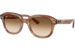 Ochelari de soare Ray-Ban Erik RB4398 140351 Pătrați Maro