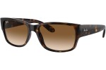 Ochelari de soare Ray-Ban RB4388 710/51 Dreptunghiulari Havana