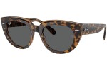 Ray-Ban RB2286 1292B1