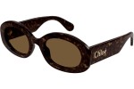 Ochelari de soare Chloe CH0258S 002 Ovali Havana