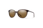 Smith CHEETAH 3DV/L5 Polarized