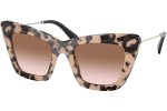 Ochelari de soare Miu Miu MU01WS 07D0A6 Cat Eye Havana